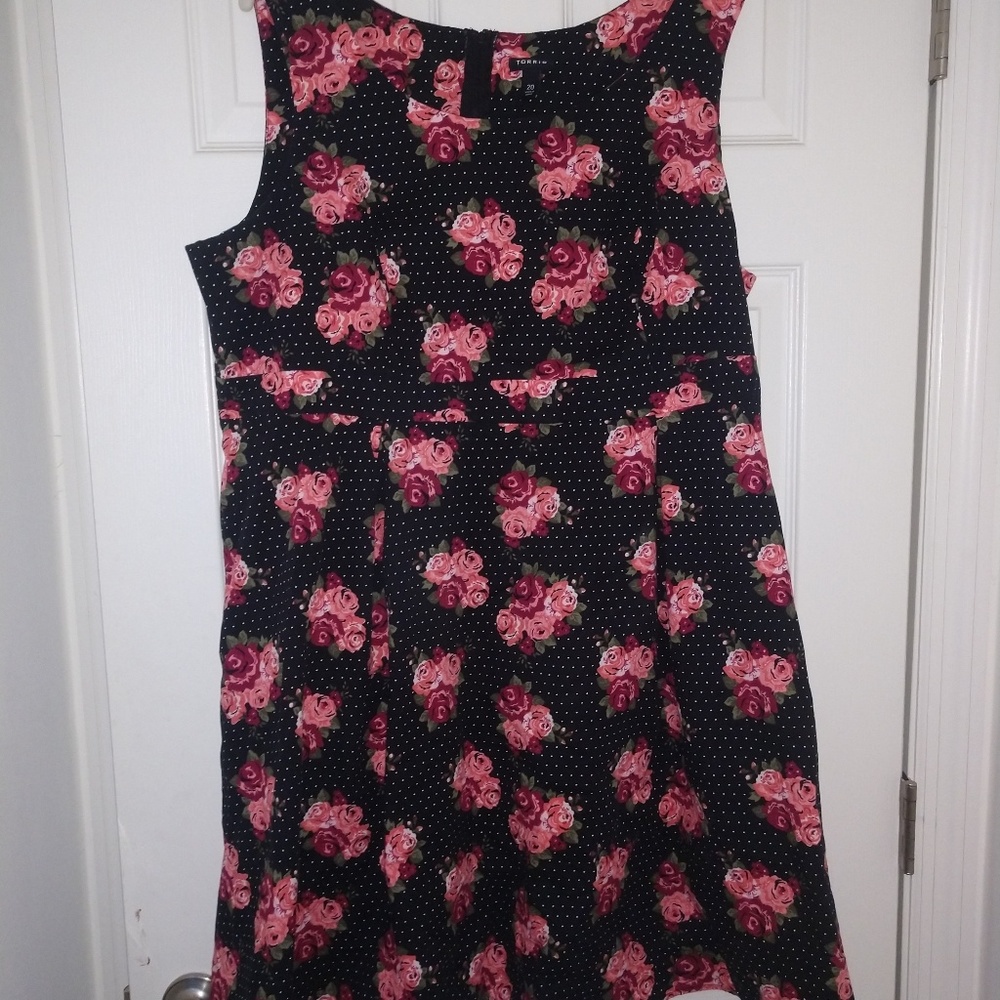 Torrid super cute dress